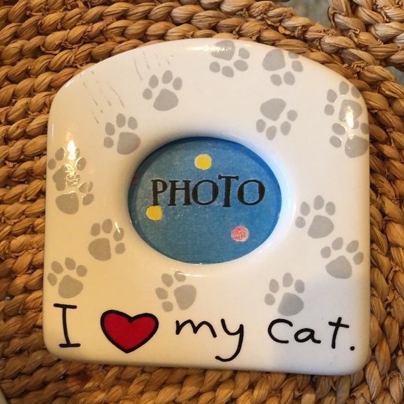 cat lovers refrigerator magnet AND pre read book - Picture 2 of 9